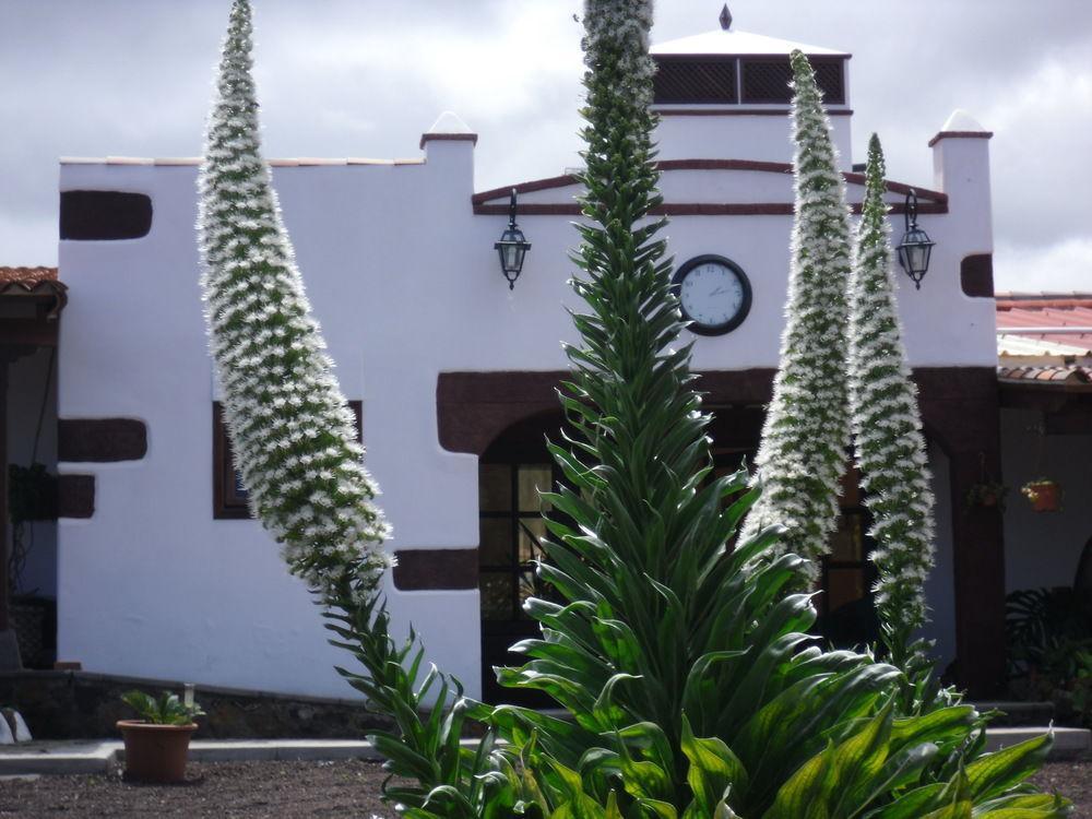 فندق Valle de Guerraفي  Finca El Picacho المظهر الخارجي الصورة